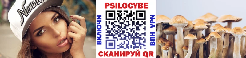 Псилоцибиновые грибы Psilocybe  Северск 